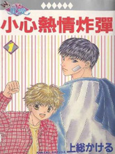 小心热情炸弹,小心热情炸弹漫画